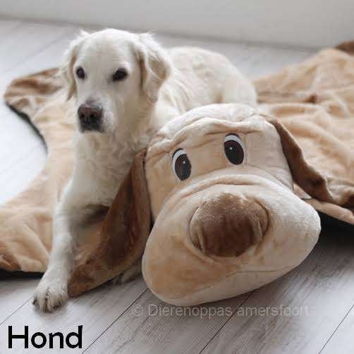 Gezocht: Hondenkleed hondenkussen Dierenoppas Amersfoort, Dieren en Toebehoren, Ophalen of Verzenden, Zo goed als nieuw, Pluche