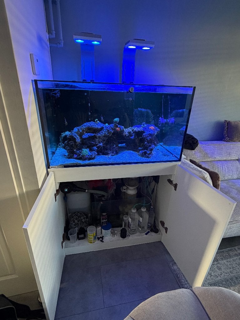 Complete zoutwater aquarium set – Aqua Medic Armatus 375 XD, Dieren en Toebehoren, Ophalen, Gevuld zeewateraquarium, Gebruikt