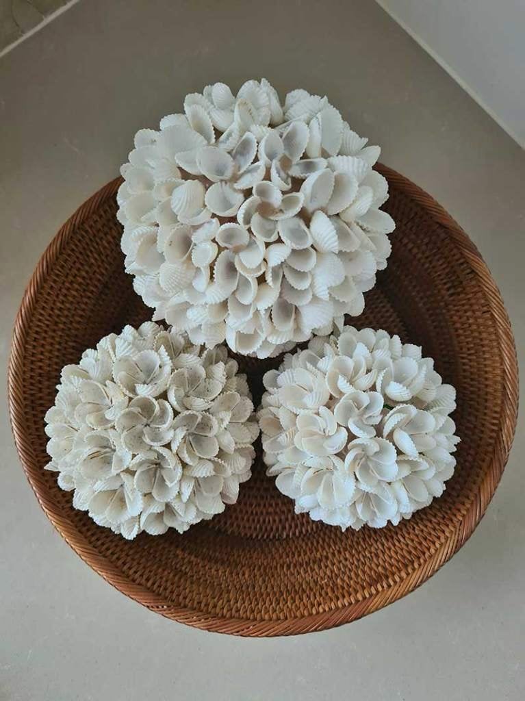 Schelpen decoratie bol 6 wit, Ophalen of Verzenden, Schelpendecoratie, Tropical home, Natuurlijk materiaal