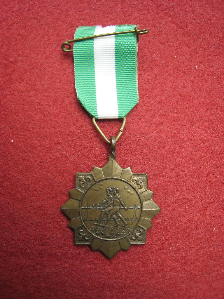 Scoutisme Medaille WVO Oosterwolde, Verzenden, Zo goed als nieuw, Embleem, Speld of Insigne