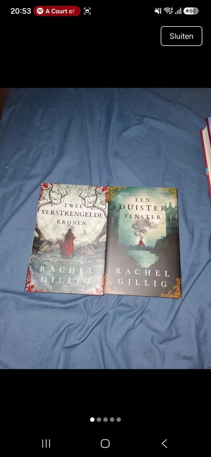 SoManyPages edities Rachel Gillig, Boeken, Ophalen of Verzenden, Zo goed als nieuw