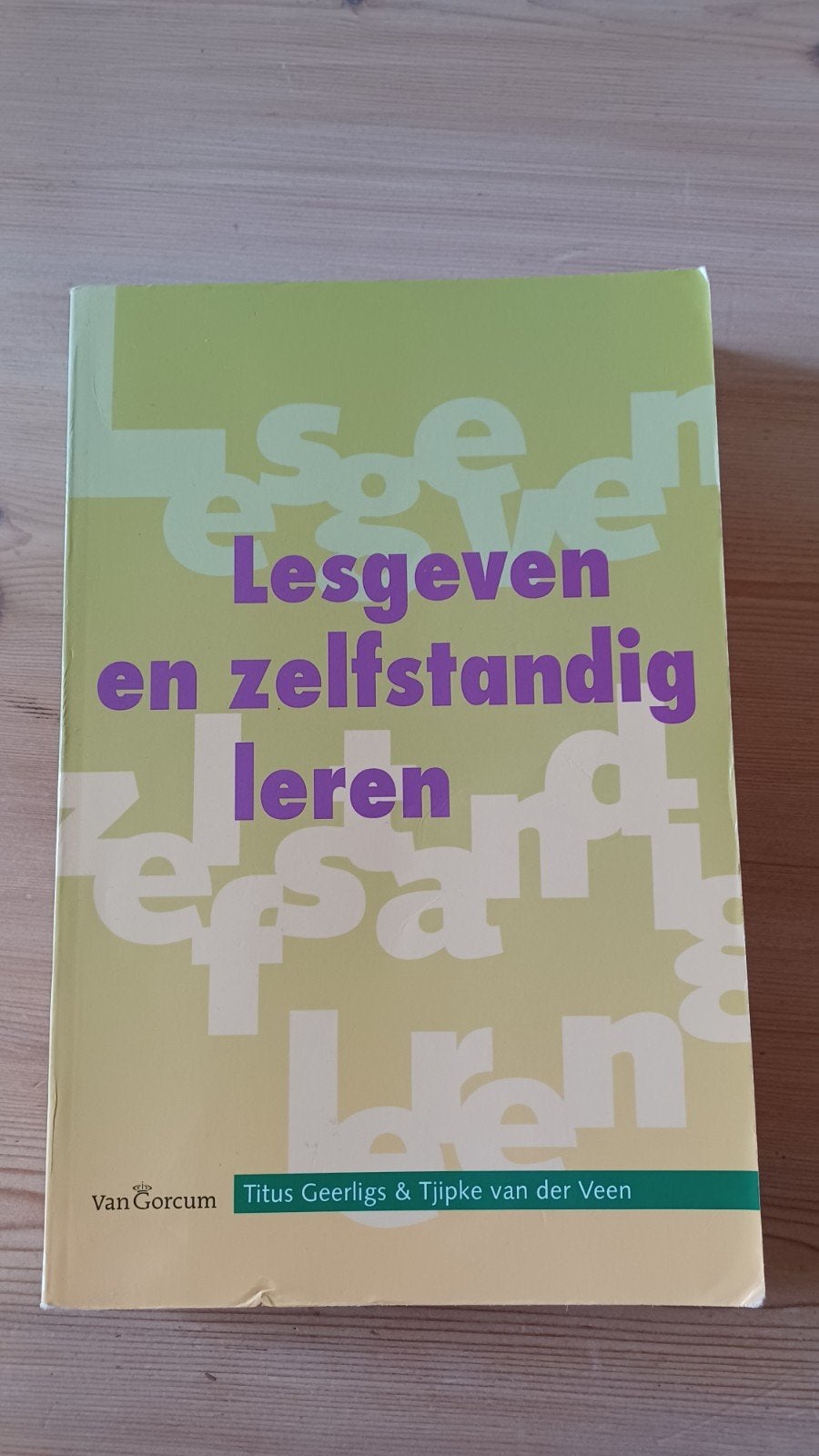 Lesgeven en zelfstandig leren - Titus Geerligs & Tjipke, Titus Geerligs & Tjipke van der Veen, Zo goed als nieuw, Gamma, HBO