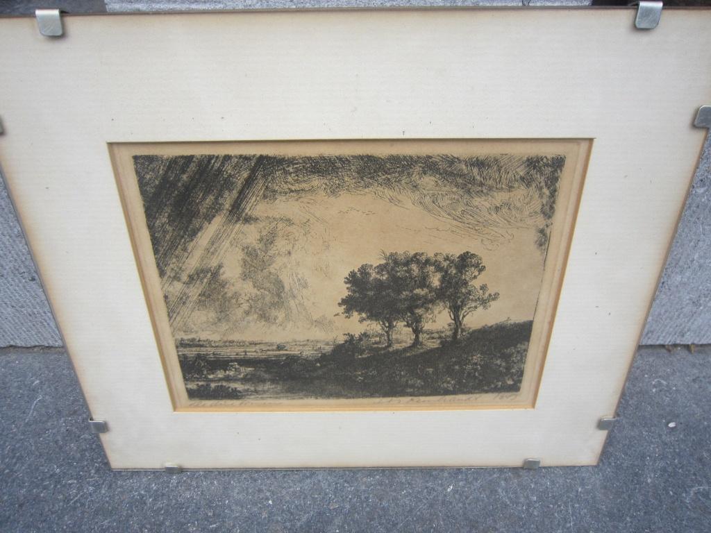 REMBRANDT ETS: "" DE DRIE BOMEN, Achter Glaspl met klemmen, Antiek en Kunst, Ophalen of Verzenden, Flora en Fauna, Ets