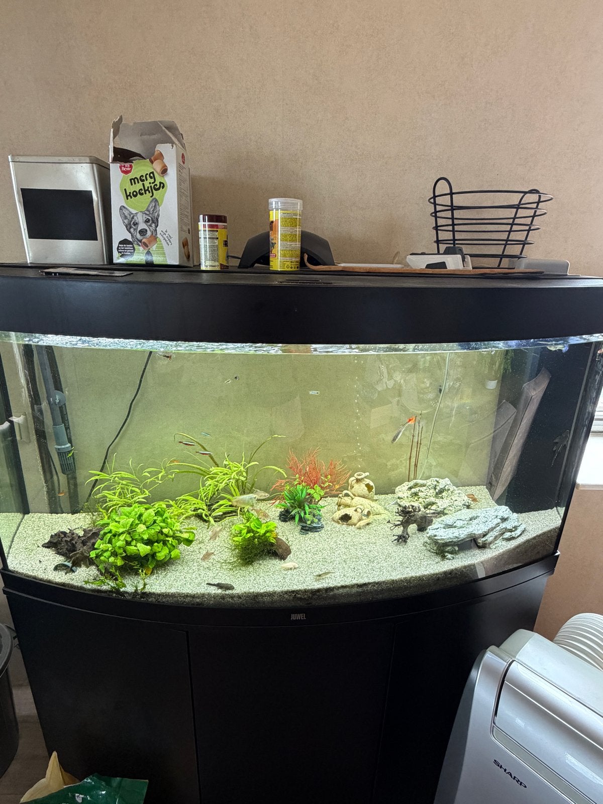Aquarium met kast en buitenfilter, Dieren en Toebehoren, Vissen | Aquaria en Toebehoren, Ophalen, Gebruikt, Overige typen, Inclusief vissen
