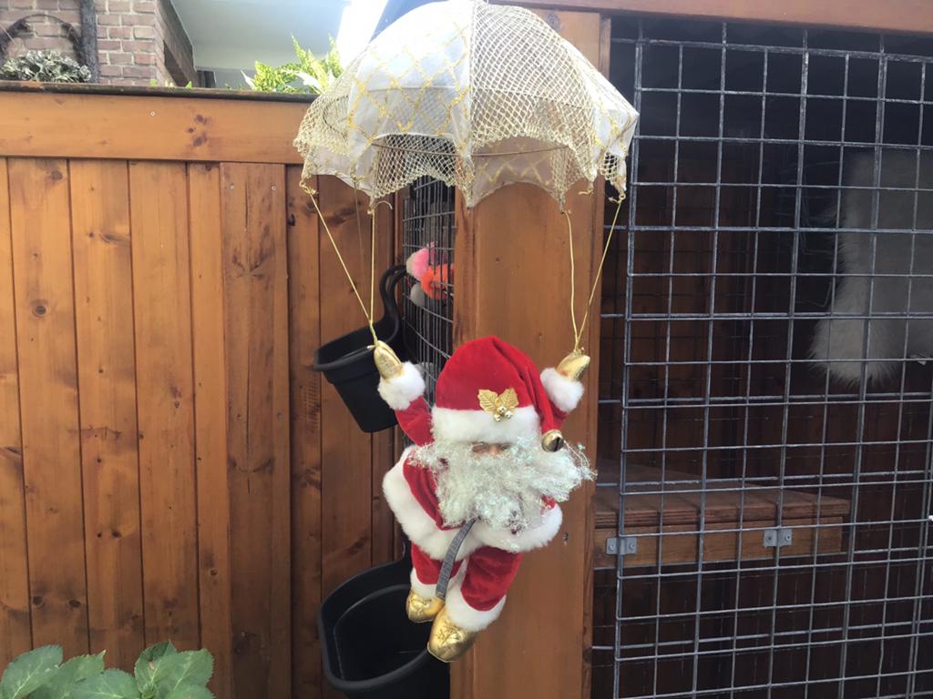 Kerstman aan een parachute, Ophalen