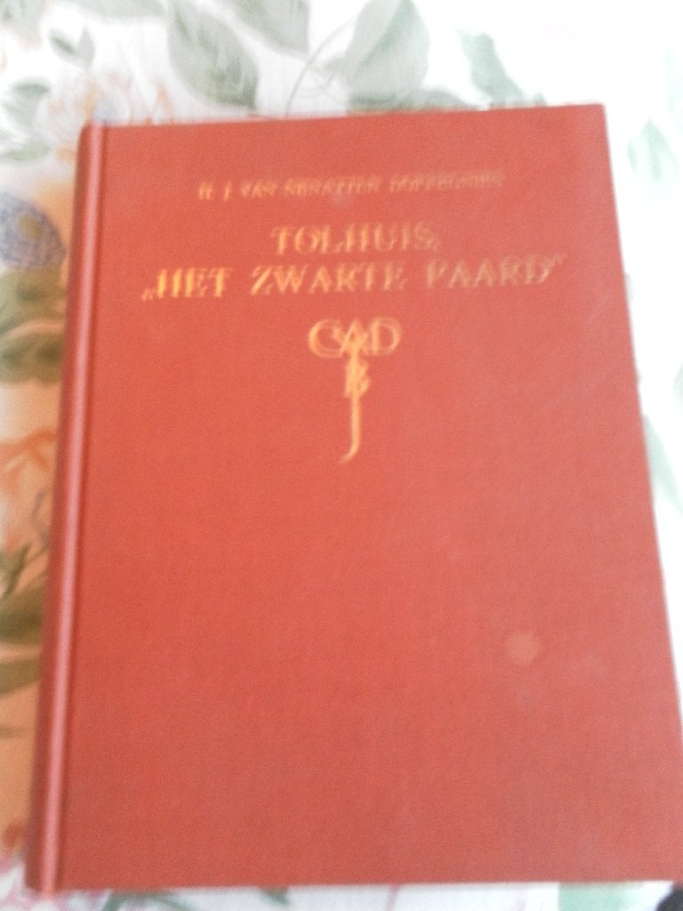 tolhuis het zwarte paard hj v nijnatten doffegnies, Boeken, Hj v nijnatten doffegnies, Ophalen of Verzenden, Zo goed als nieuw