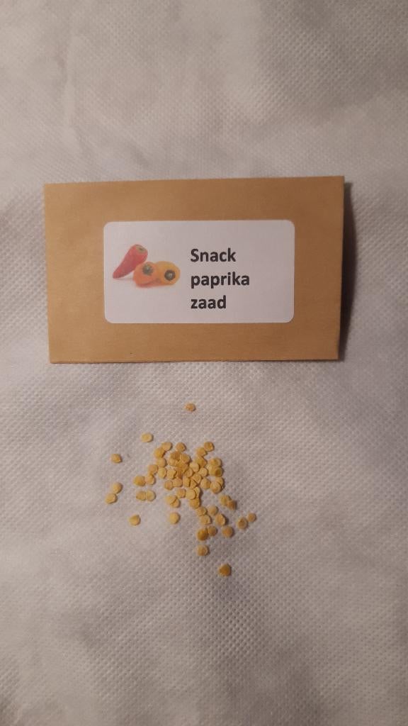 Snack paprikazaad (60st.), Ophalen of Verzenden, Volle zon