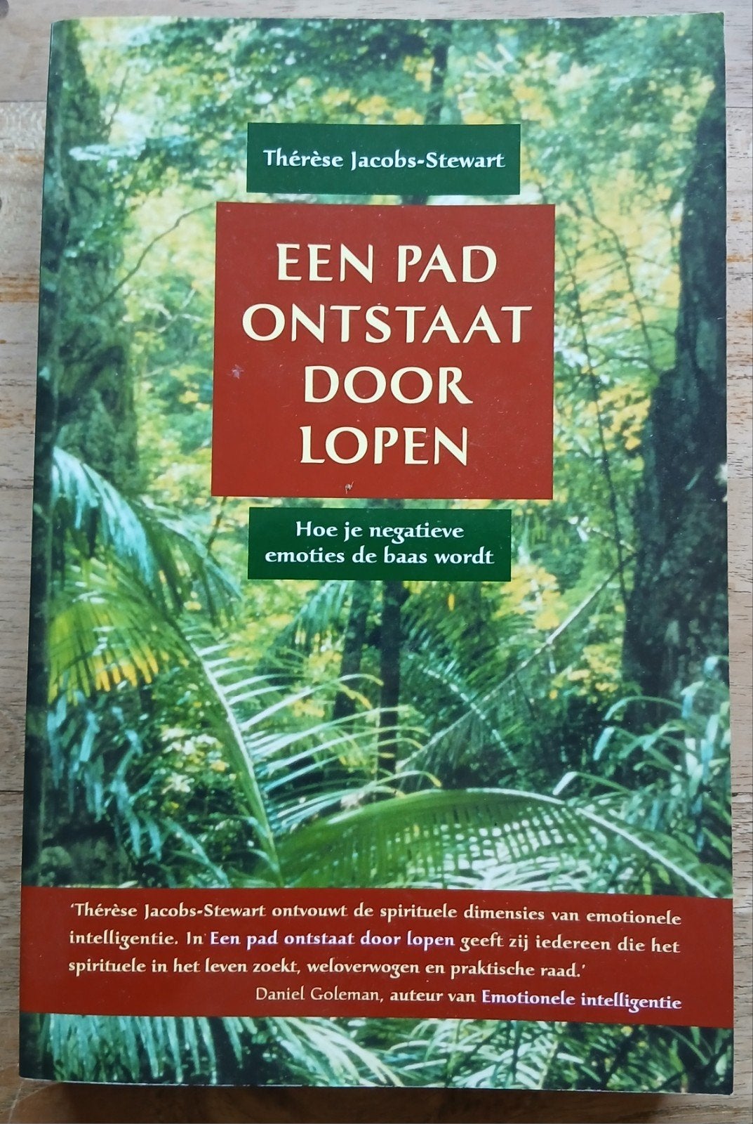 Thérèse Jacobs-Stewart,  Een pad ontstaat door lopen, Ophalen of Verzenden, Gelezen, Spiritualiteit algemeen, Overige typen