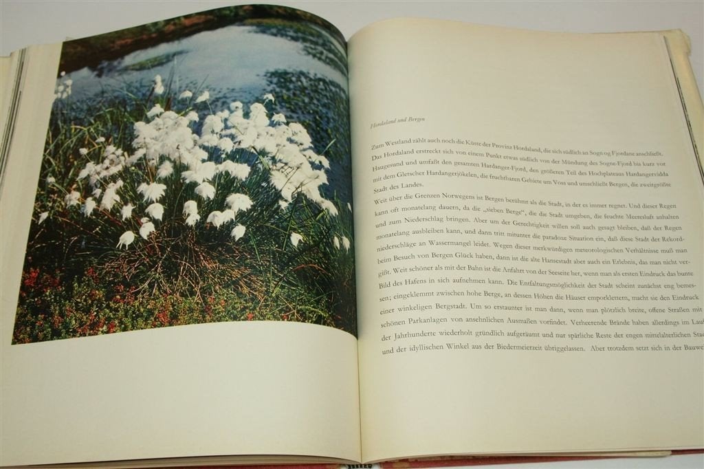 Noorwegen Vintage Fotoboek 1958 — Landschap & Natuur [DE], Ophalen of Verzenden, Gelezen, Fotografen