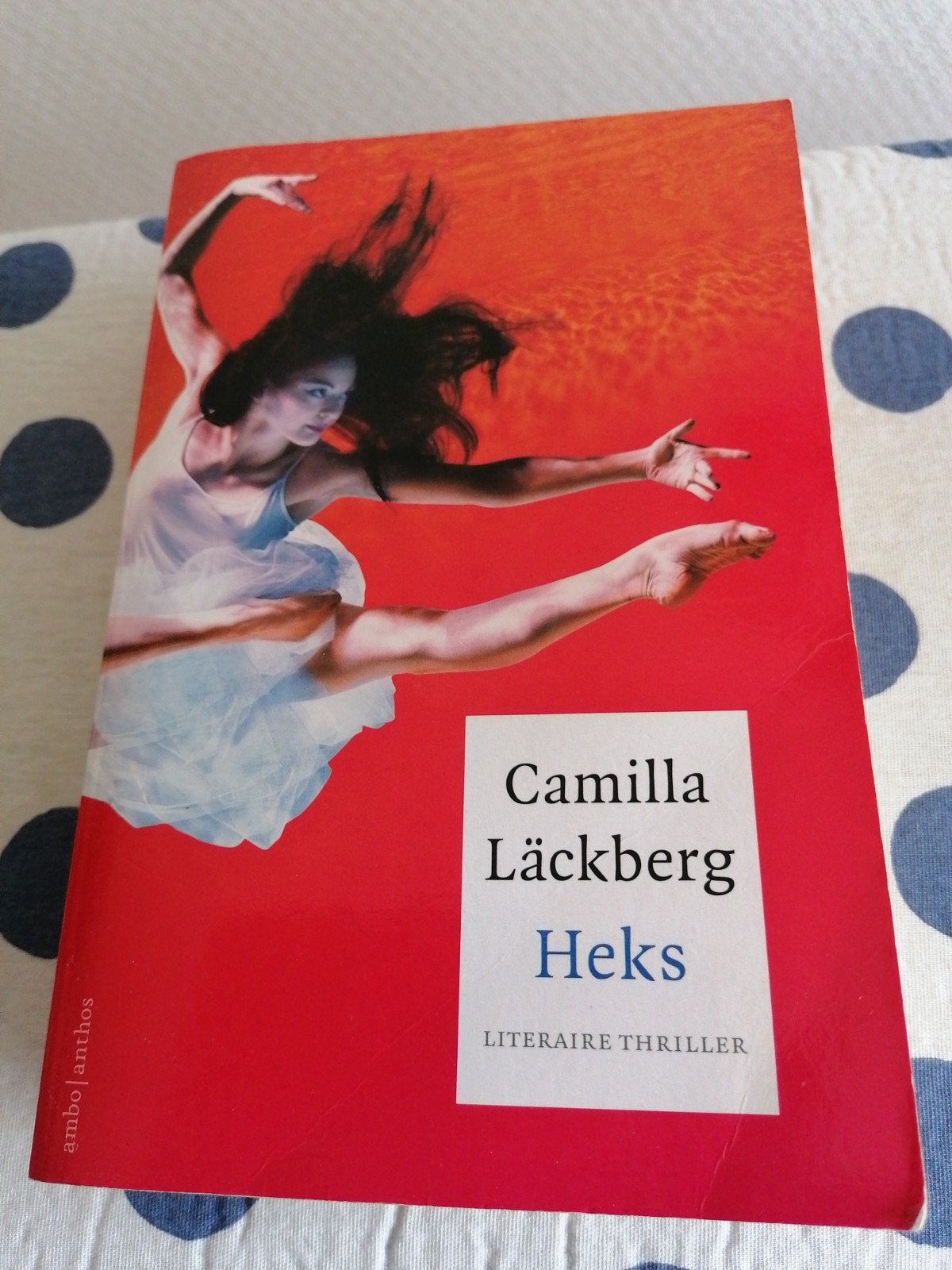 Heks - Camilla Läckberg (Paperback), Boeken, Gelezen, Scandinavië, Ophalen of Verzenden, Camilla Läckberg