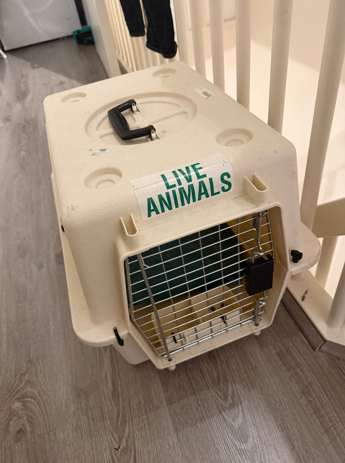 IATA vliegtuigkennel voor kat of kleine hond, Ophalen, Gebruikt