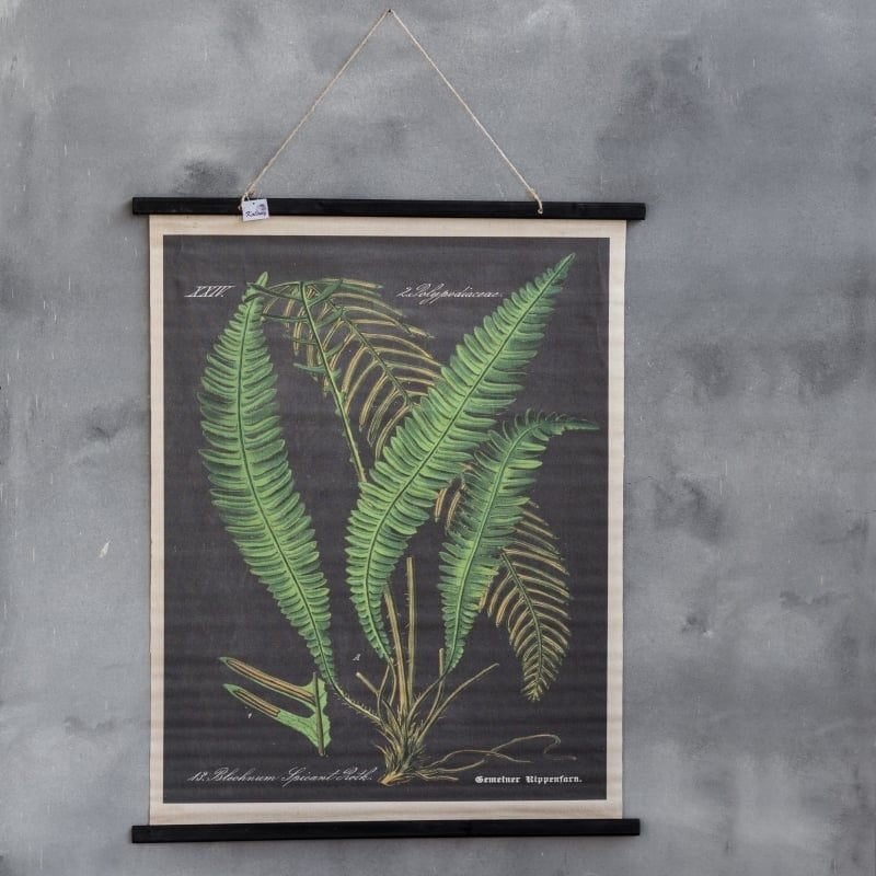 Wandkaart varens (nieuw!), Hout, Meerkleurig, Nieuw, 100 cm