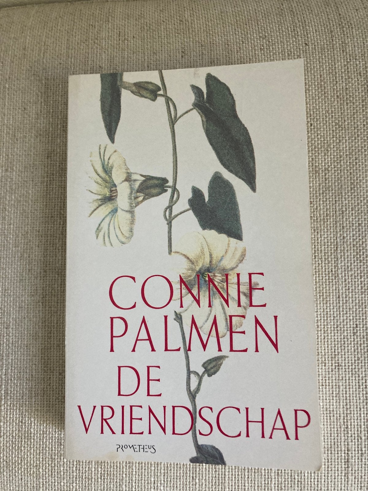 Boek de vriendschap connie palmen, Ophalen of Verzenden, Zo goed als nieuw