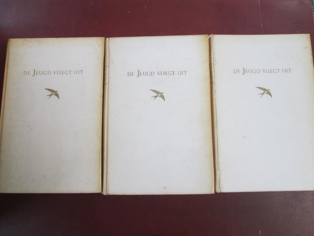 De Jeugd vliegt uit, door Jan de Vries, 3 delen, Boeken, Ophalen of Verzenden, Gelezen, Nederland