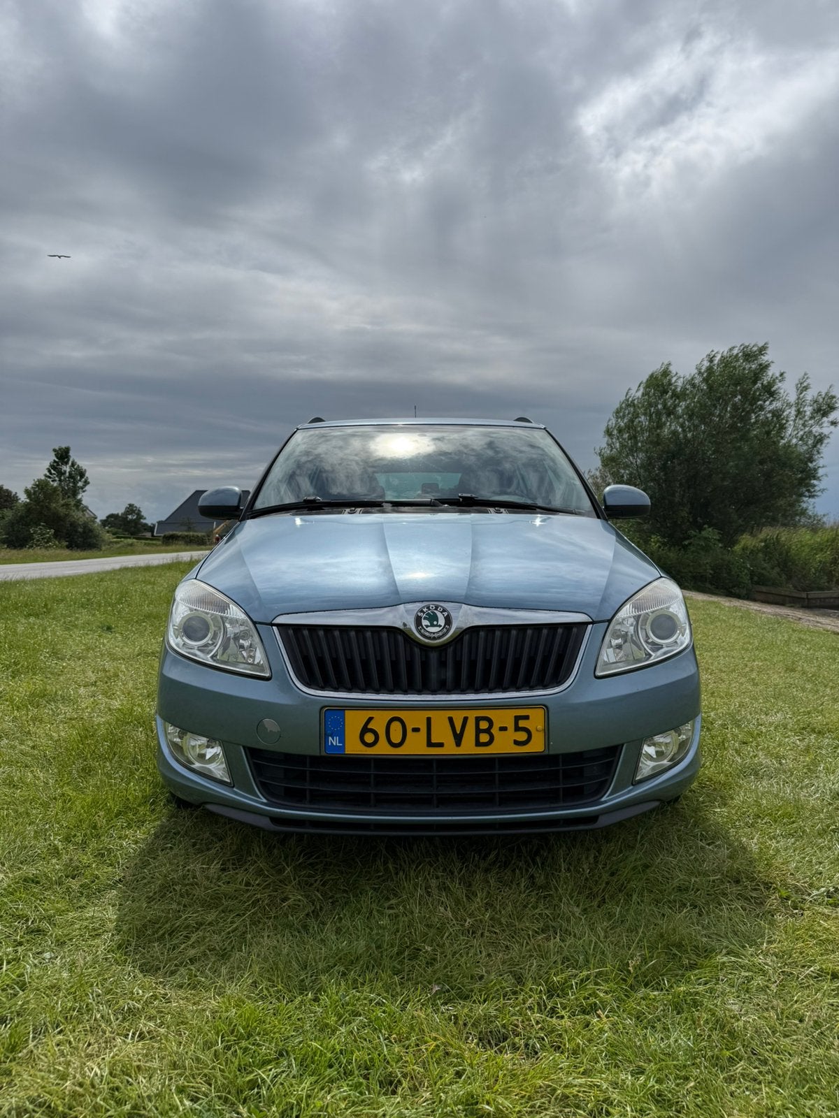 Skoda Fabia 1.2 TDI 55KW Combi 2010 Blauw, Auto's, Skoda, Voorwielaandrijving, Euro 5, 450 kg, 1199 cc