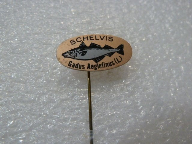 Vintage Schelvis Speldje - Gadus Aeglefinus (L), Ophalen of Verzenden, Gebruikt, Dier of Natuur, Speldje of Pin