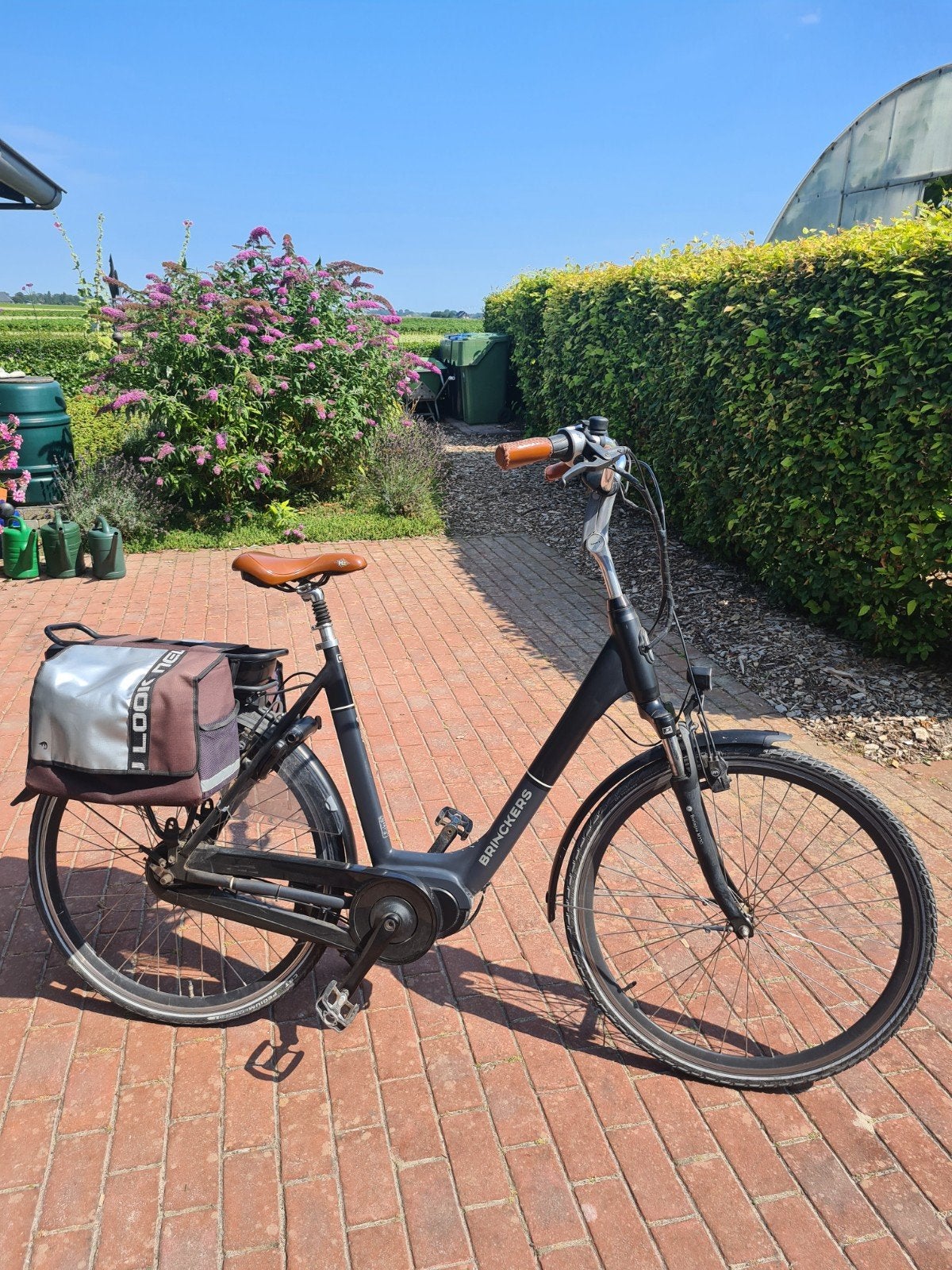 Dames e-bike met traploze versnelling en accessoires, 55 tot 59 cm, Ophalen, Brinckers