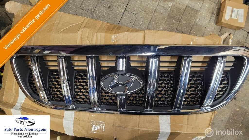 Grill origineel Hyundai Terracan ('01-'06), Nieuw, Ophalen of Verzenden, Hyundai, Hyundai