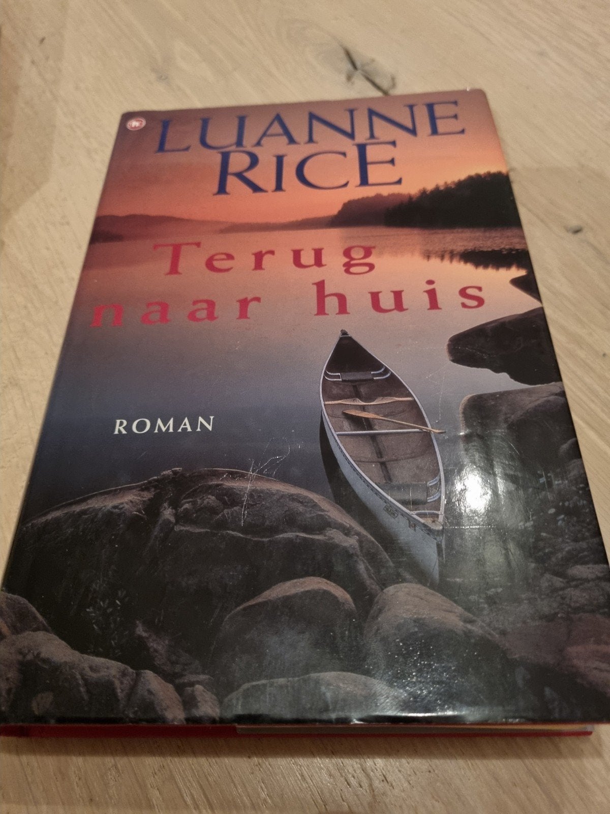 Terug naar huis - Luanne Rice (Roman), Ophalen of Verzenden, Zo goed als nieuw, Luanne Rice, Nederland