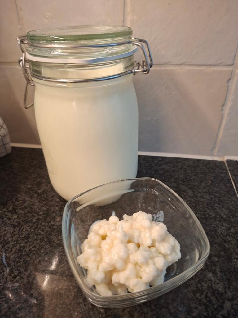Melkkefir, Diversen, Levensmiddelen, Ophalen