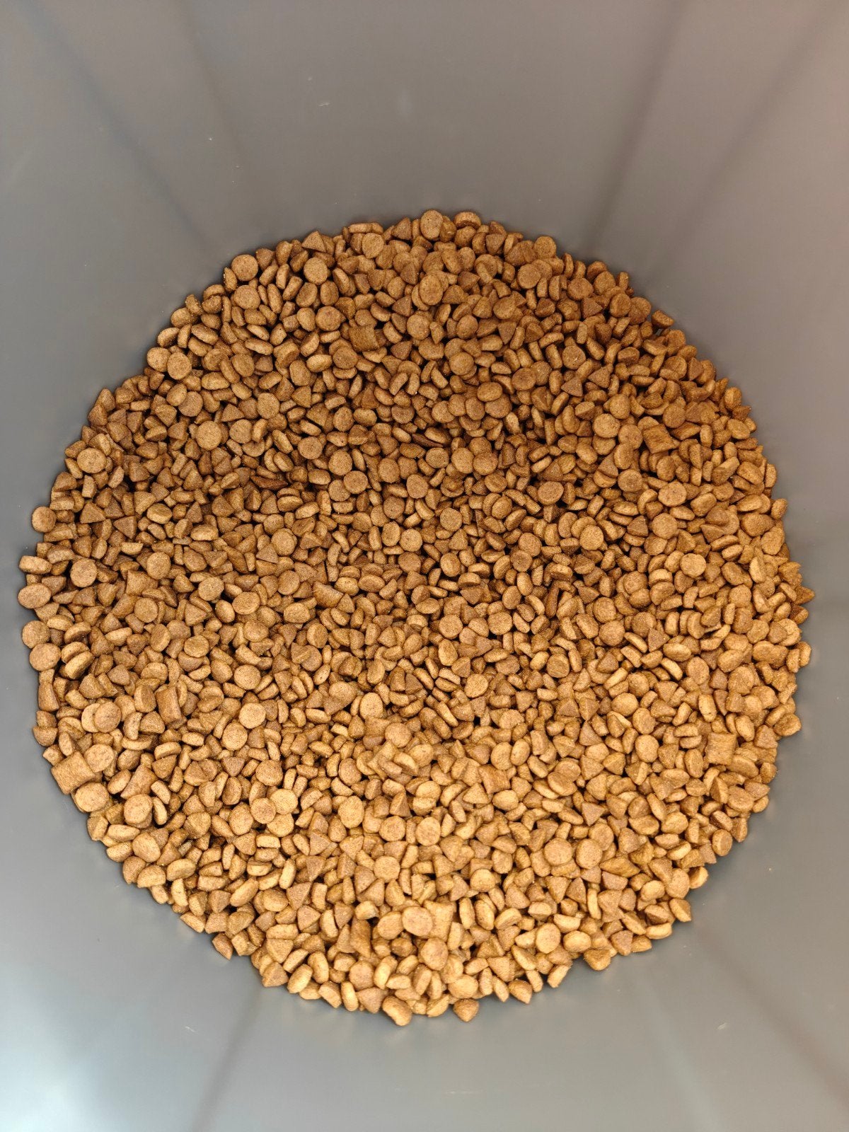 Royal Canin droogvoer brokjes kat, Dieren en Toebehoren, Ophalen, Kat