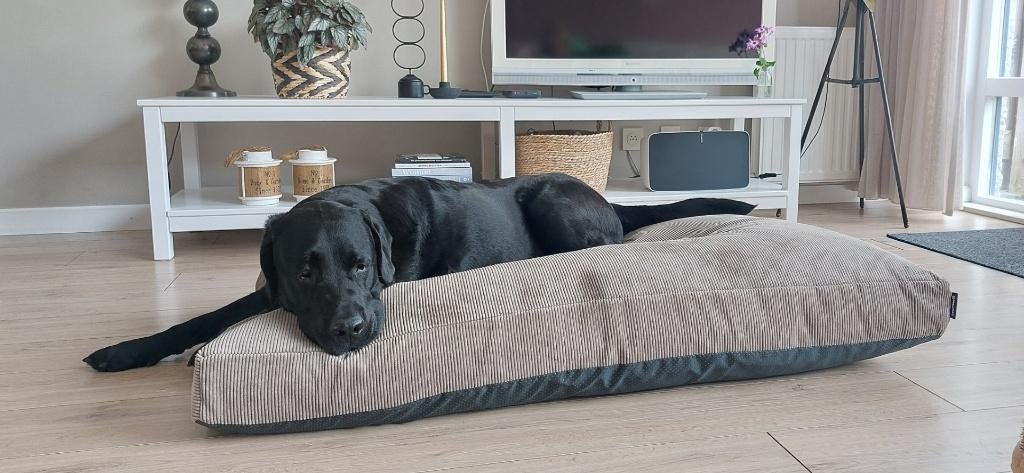 Beeztees Orthopedisch Hondenkussen Veo Mokka, Ophalen, Zo goed als nieuw, Stof