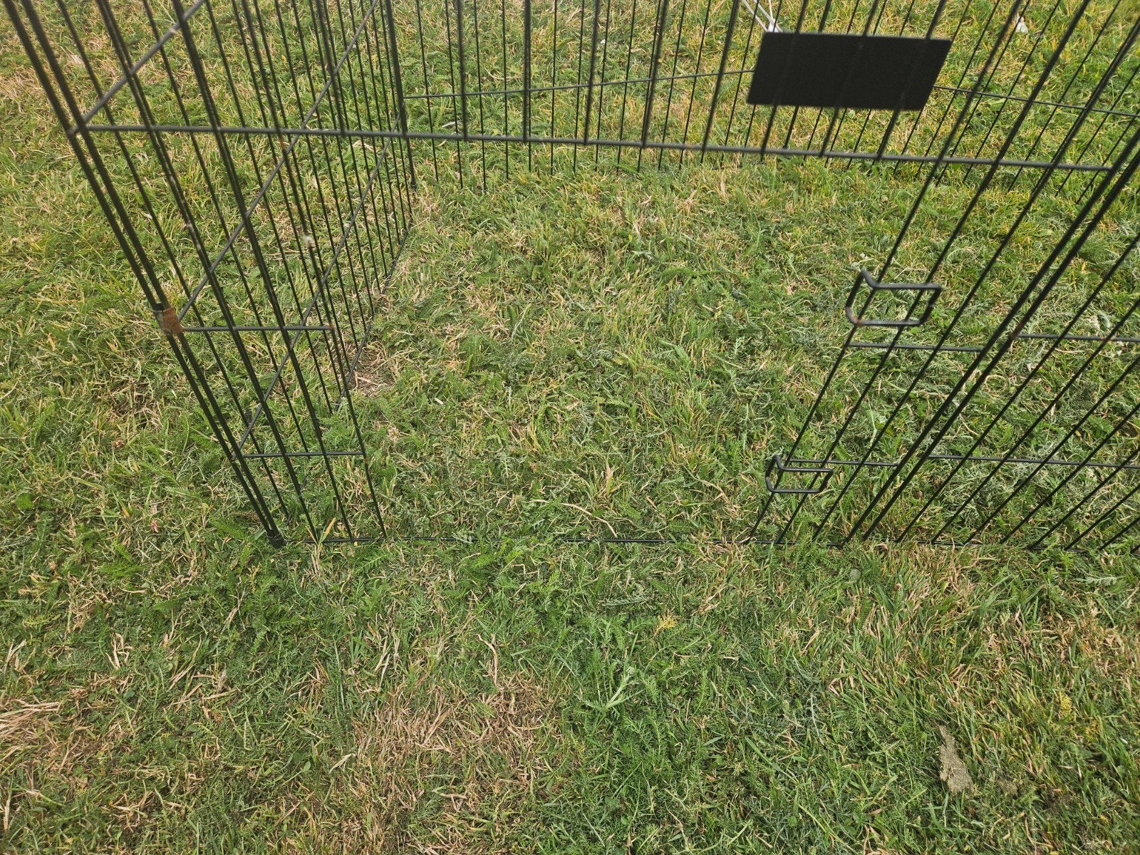 hondenren honden ren camping afzethek hekjes, Ophalen, Minder dan 10 meter