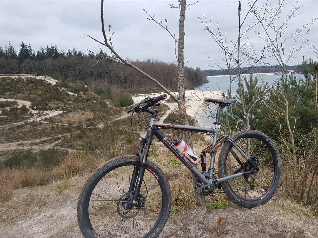 Bulls Mountainbike, Ophalen, Gebruikt, Overige merken
