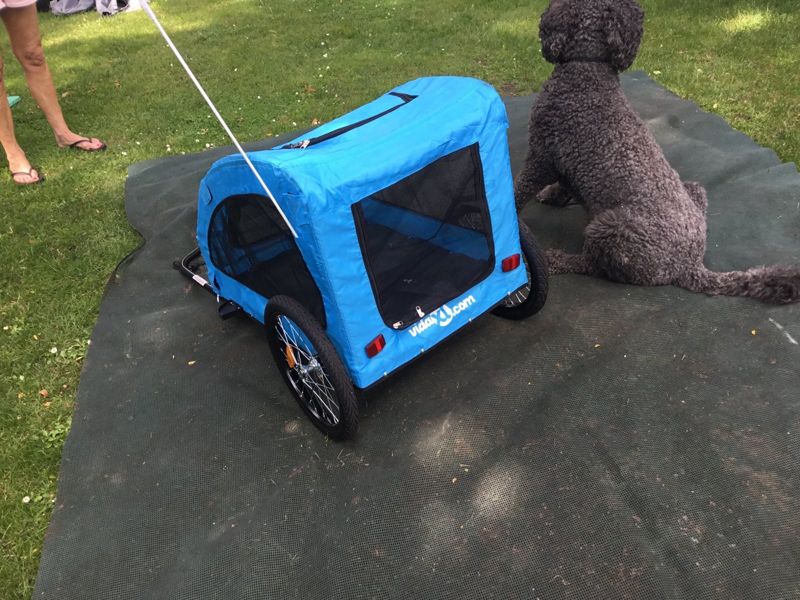 Honden fietskar - Nieuwstaat, ongebruikt, Ophalen, Zo goed als nieuw, Hondenkar
