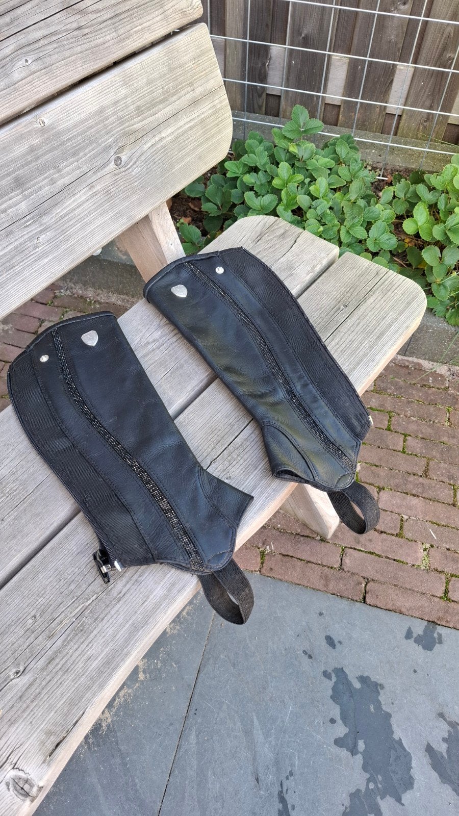 Quur chaps met rits maat S, Dieren en Toebehoren, Gebruikt, Dressuur, Ophalen of Verzenden, Quur
