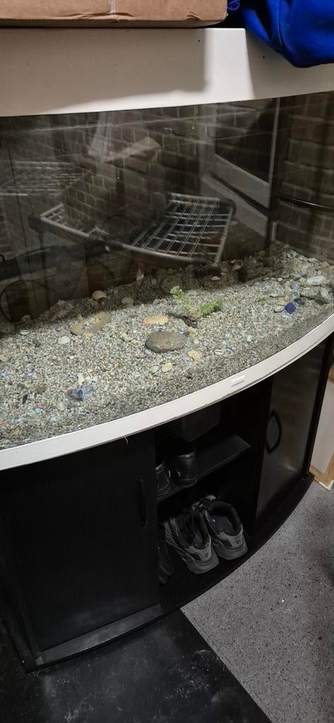 Aqaurium 240, Dieren en Toebehoren, Vissen | Aquaria en Toebehoren, Ophalen