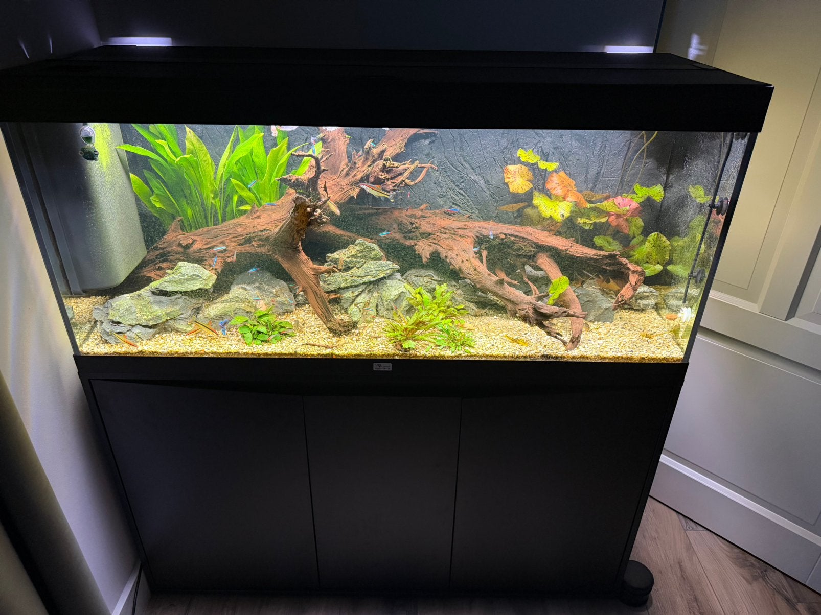 Aqualantis 240l, Ophalen, Zo goed als nieuw