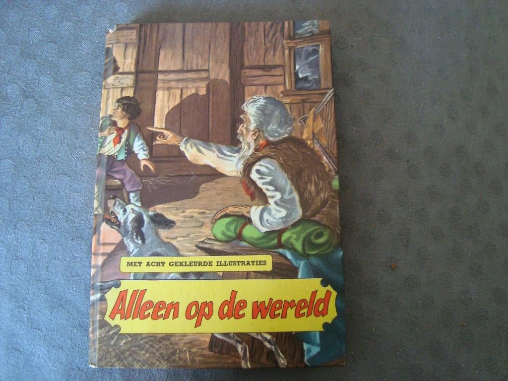 Alleen op de wereld, Boeken, Ophalen of Verzenden, Zo goed als nieuw