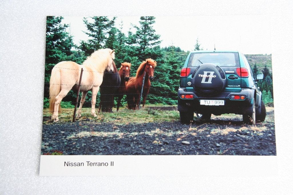 Persfoto Nissan Terrano II (1999) (19), Ophalen of Verzenden, Nieuw, Nissan