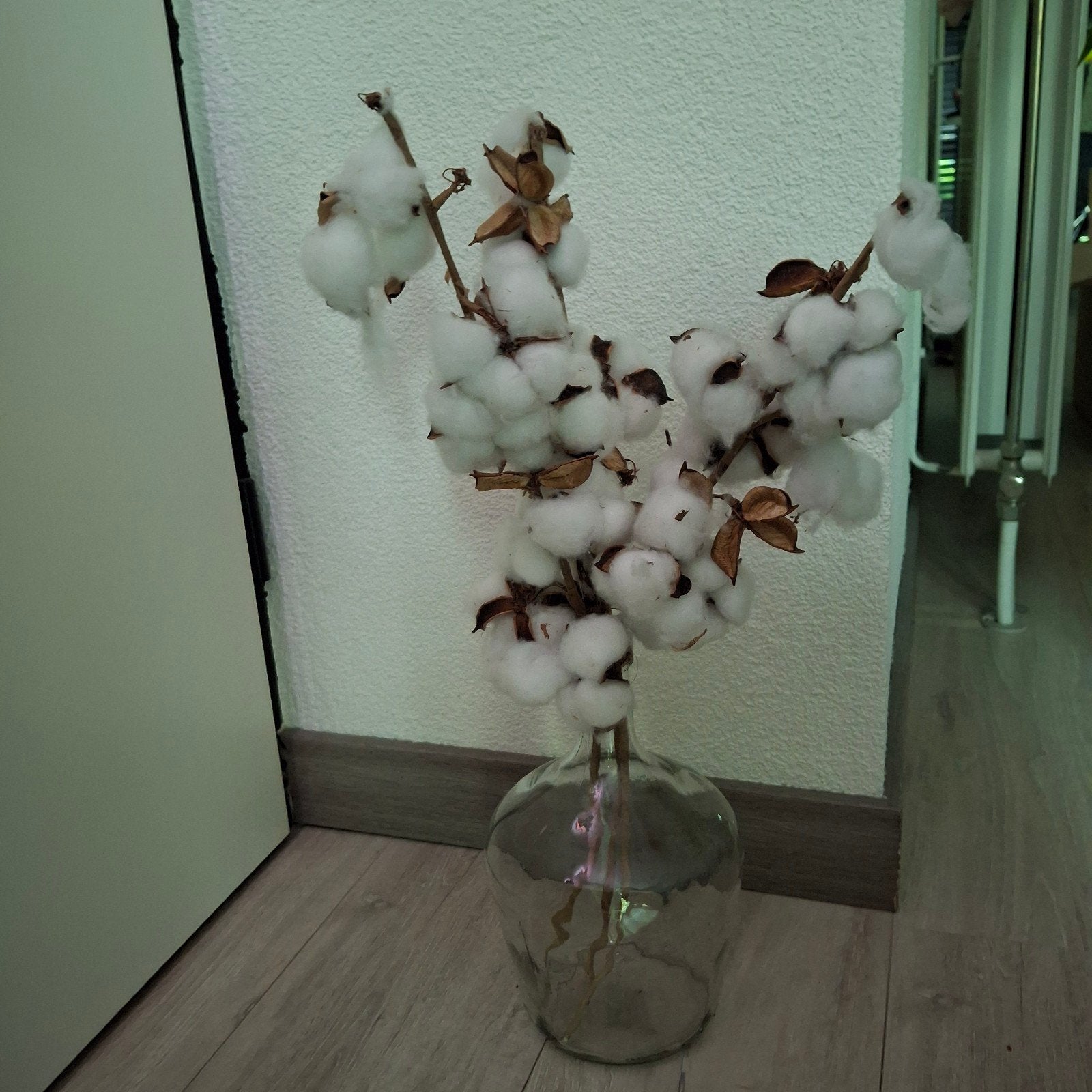 Glazen vaas met katoentakken, Ophalen, Zo goed als nieuw, Overige kleuren, Glas
