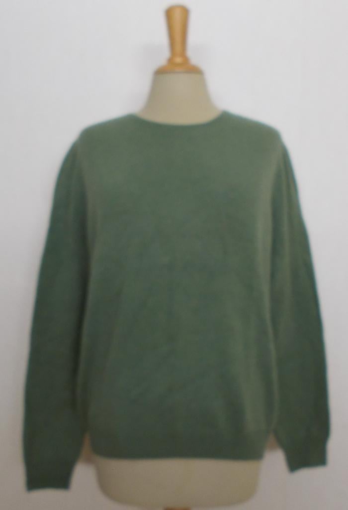 Groene zacht en soepele 100% wollen trui met ronde hals! XL, Kleding | Dames, Truien en Vesten, Verzenden, Nieuw, Maat 46/48 (XL) of groter