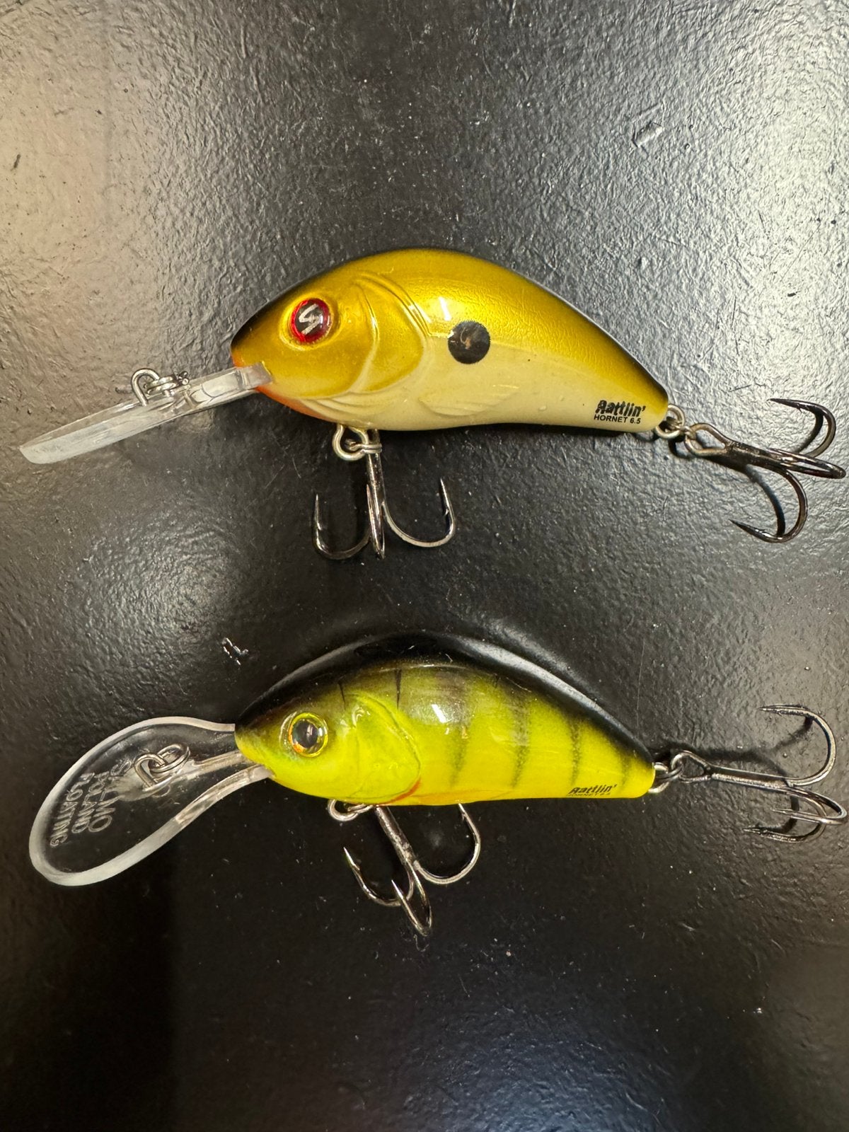 Salmo Hornet 6,5 cm Rattlin Floating, Watersport en Boten, Ophalen of Verzenden, Nieuw, Overige typen