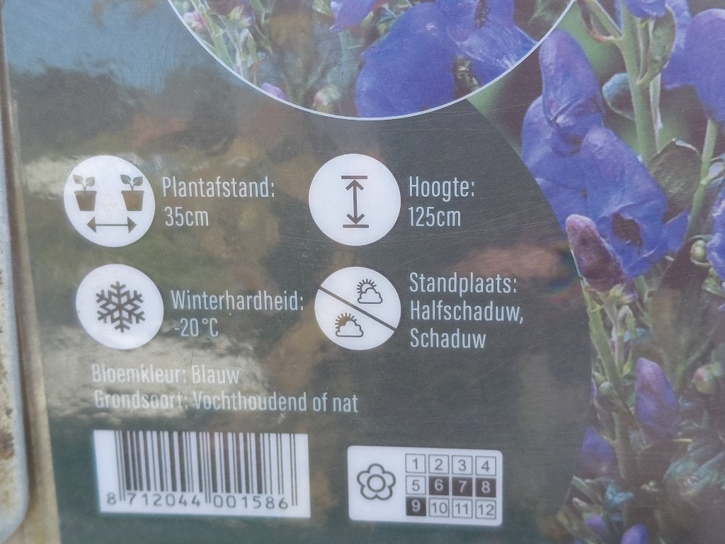 15 stuks Monnikskap voor 20 euro en nog 37 stuks...., Tuin en Terras, Overige soorten, Vaste plant, Ophalen of Verzenden, Halfschaduw