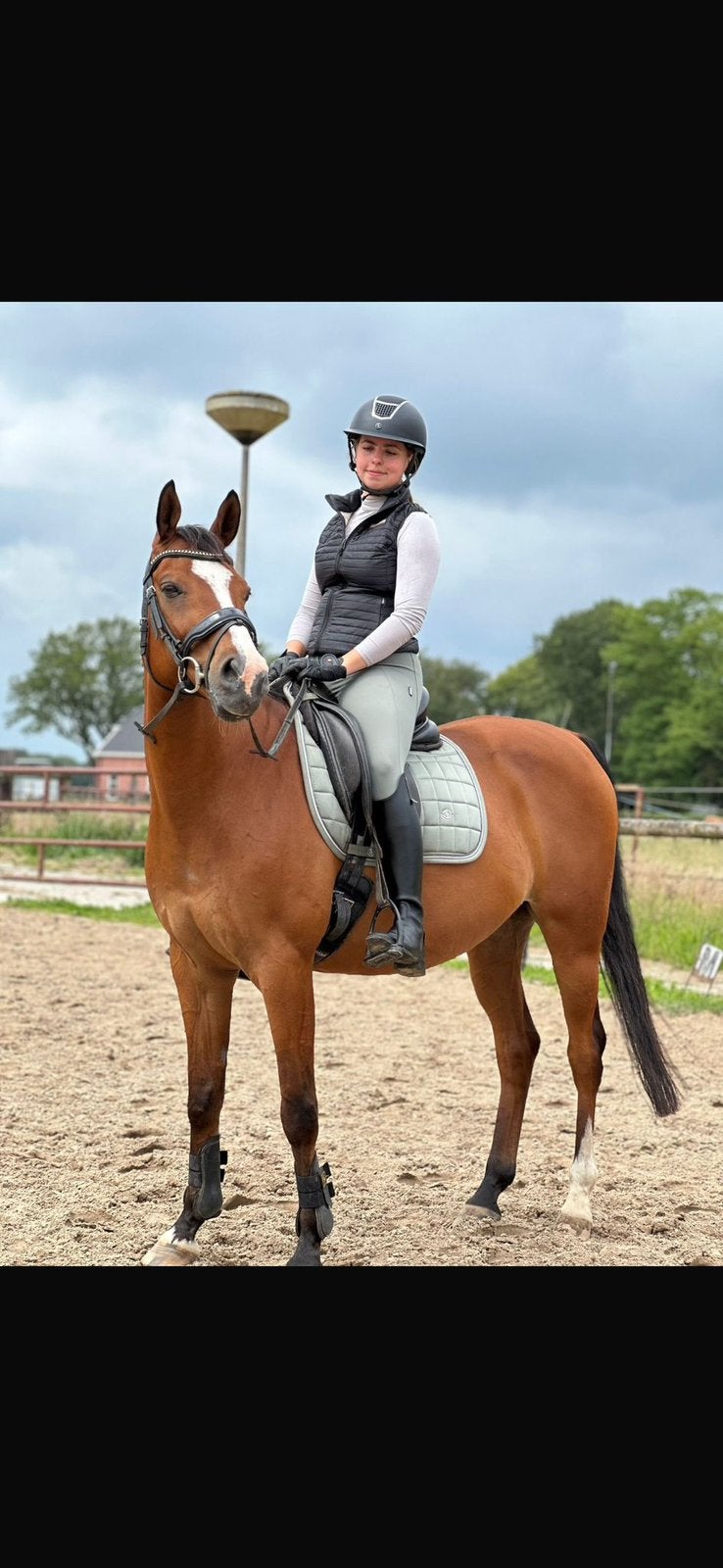 Lieve 18-jarige ruin zoekt 5 sterren huis, Ruin, Minder dan 160 cm, Recreatiepaard, 11 jaar of ouder