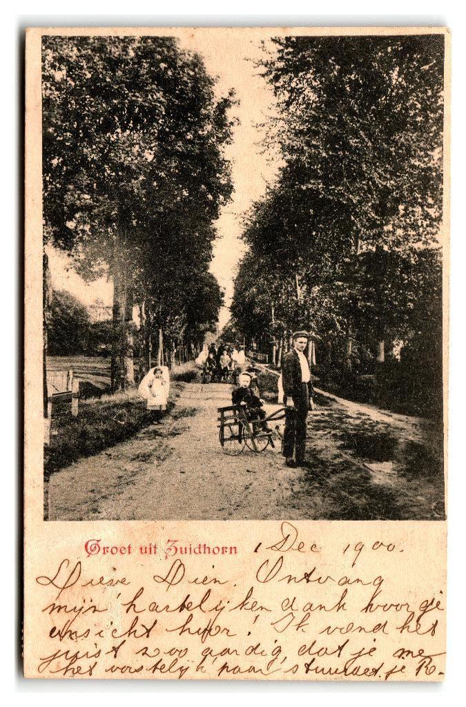Zuidhorn, Groet uit Zuidhorn, Verzenden, Voor 1920, Gelopen, Groningen