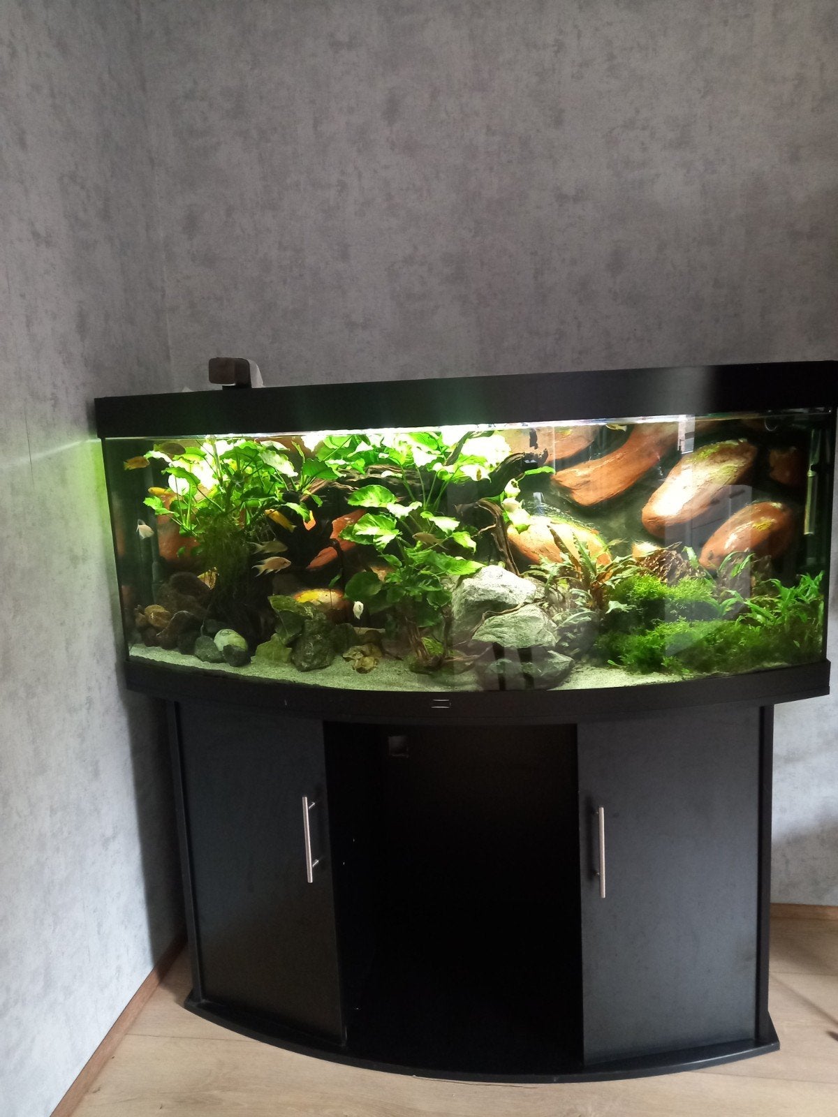juwel aquarium, Ophalen, Zo goed als nieuw
