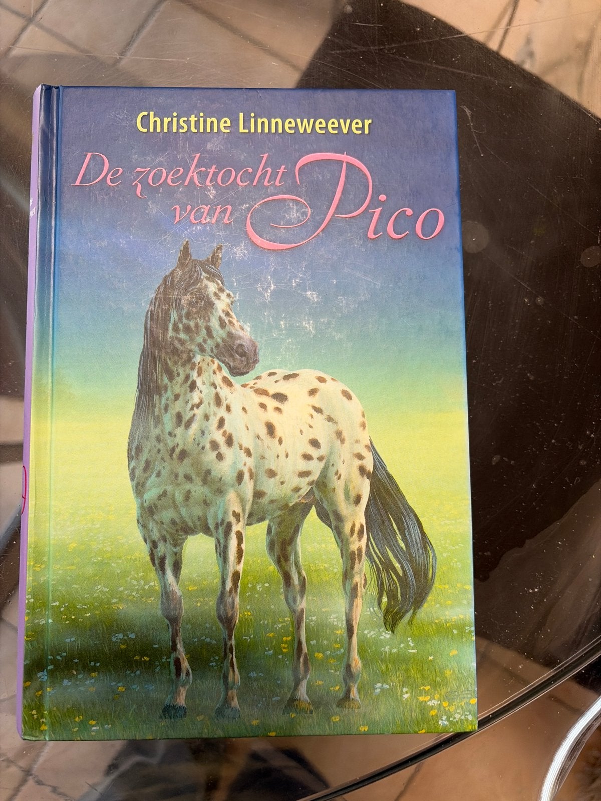 De zoektocht van Pico - Christine Linneweever, Ophalen of Verzenden, Zo goed als nieuw, Fictie algemeen