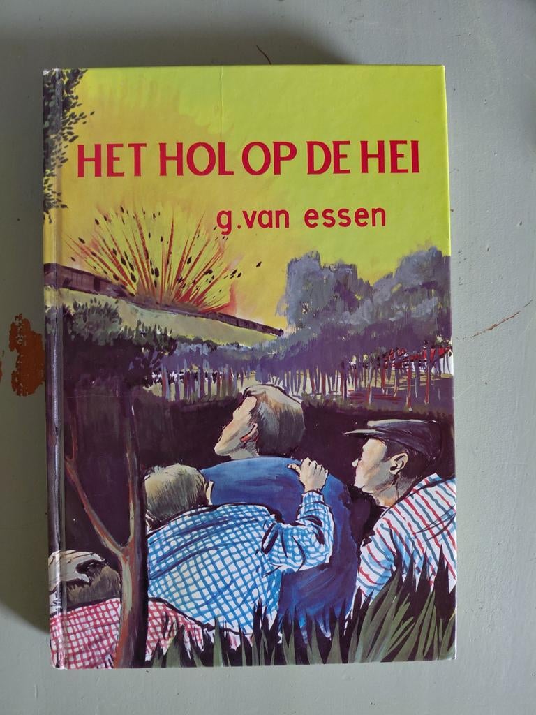 G. Van Essen  Het hol op de hei, Boeken, Ophalen of Verzenden, Gelezen