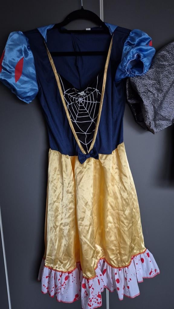 Carnavalskleding, Ophalen of Verzenden, Gedragen, Maat 38/40 (M), Carnaval
