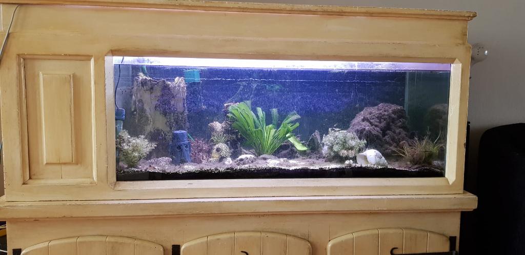 TK Aquarium 280 liter met toebehoren, 50,- euro, Ophalen, Gebruikt, Leeg aquarium