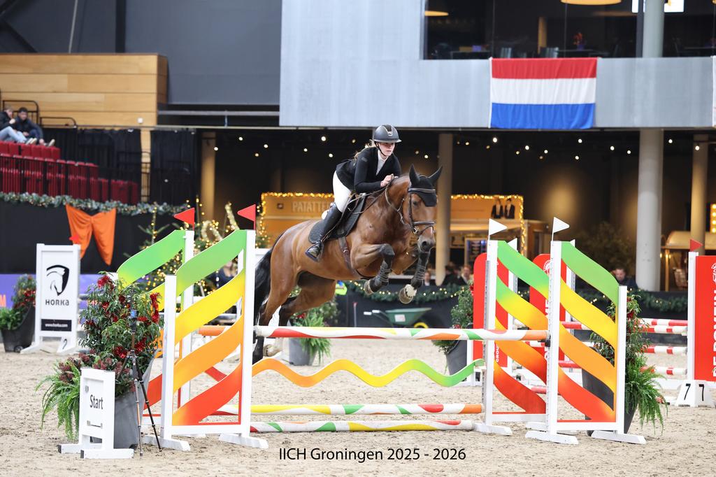 Training & instructie, Paardrijles of Ponykampen