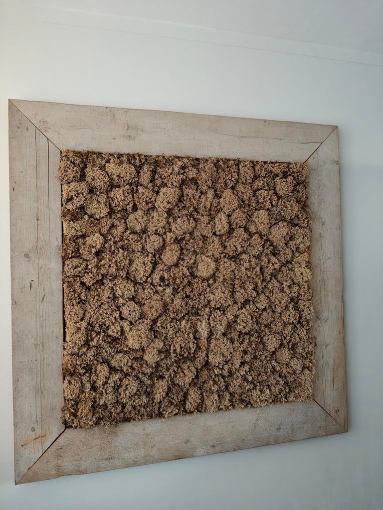 Mos schilderij met steigerhouten omlijsting, Huis en Inrichting, Woonaccessoires | Schilderijen, Tekeningen en Foto's, Ophalen