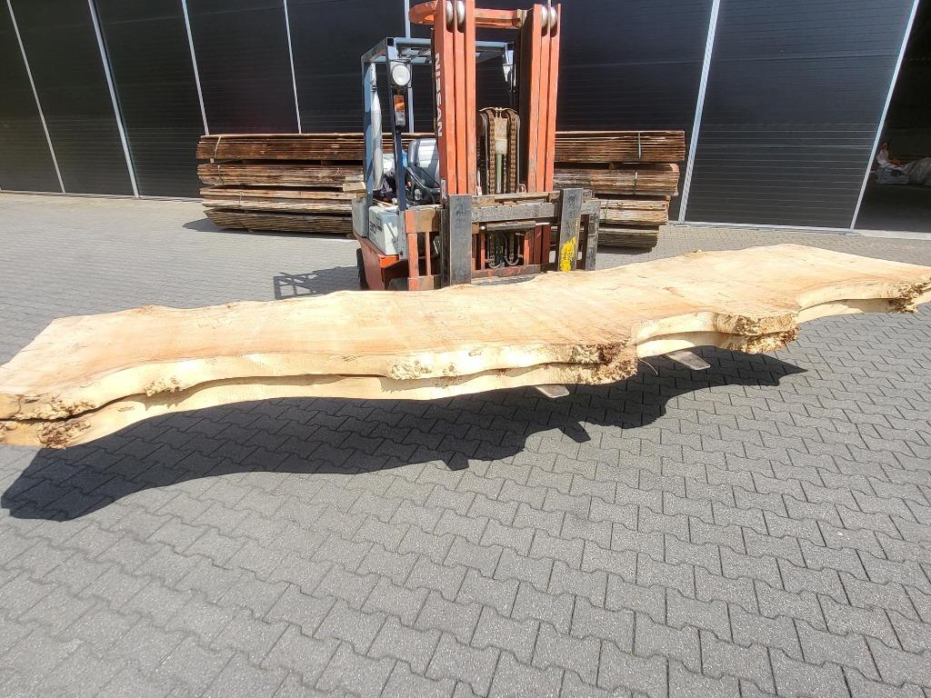 Boomstam bladen in diverse houtsoorten, Ophalen of Verzenden, Nieuw, Overige houtsoorten, Overige typen