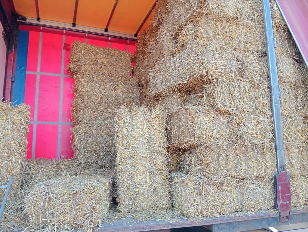 Te koop kleine balen stro, Dieren en Toebehoren, Dierenvoeding, Ophalen of Verzenden, Vee