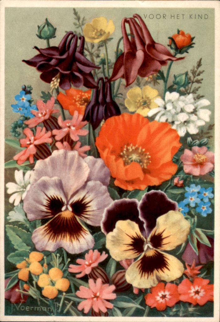 Voor het kind, klaproos en viooltjes, Jan Voerman 1961, Verzamelen, Ansichtkaarten | Themakaarten, Ophalen of Verzenden, 1960 tot 1980